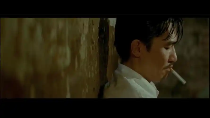 涉及电影(排名无先后):花样年华/2046/重庆森林/春光乍泄/一代宗师/色