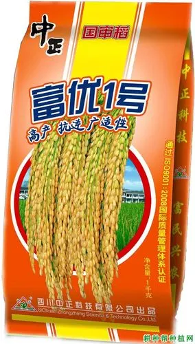 富优1号杂交籼稻水稻品种好不好