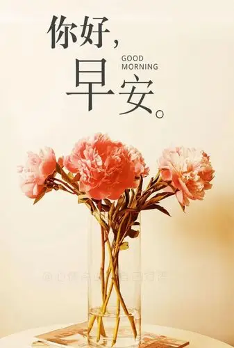 早安一句话正能量励志语录