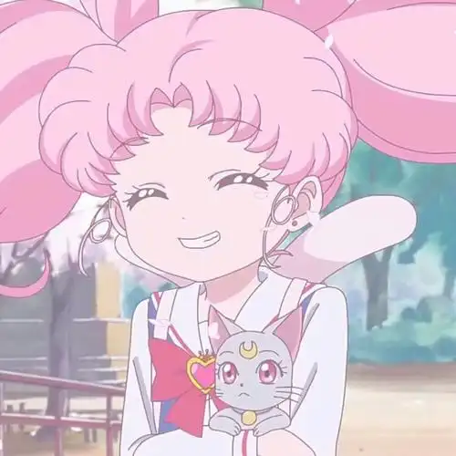 美少女战士小小兔