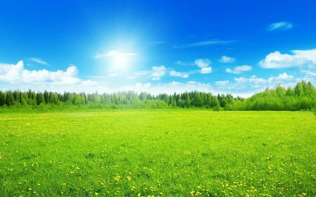 高清护眼绿色草原图片桌面壁纸