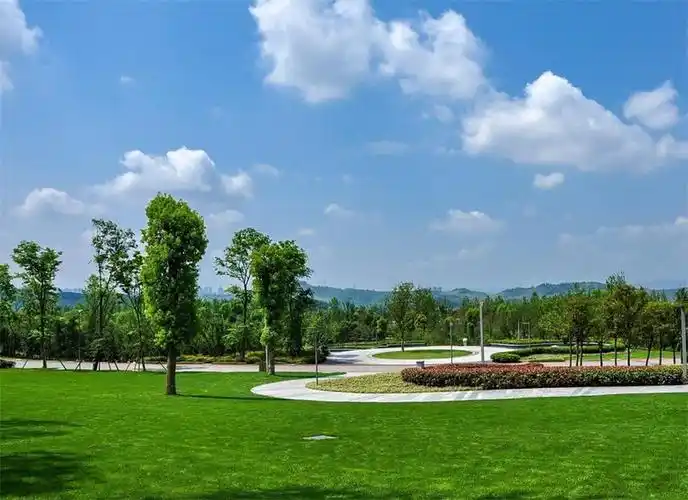 重庆---中央公园(高清)