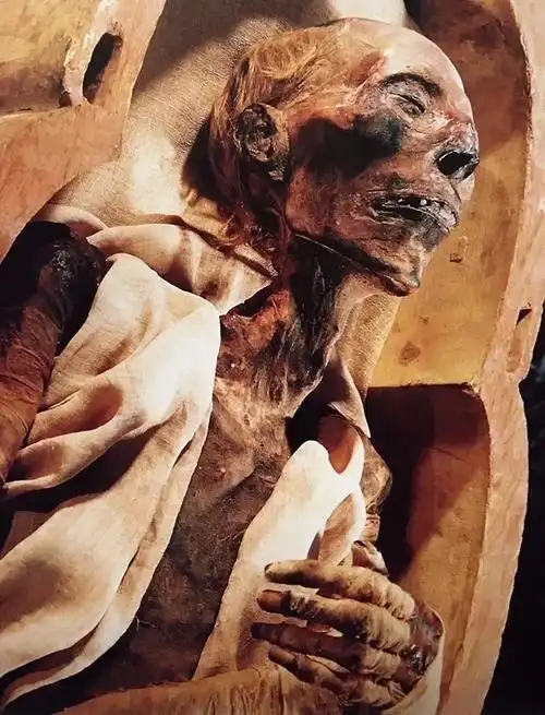 《与艺术沾边 》第293篇 · 风干火腿木乃伊