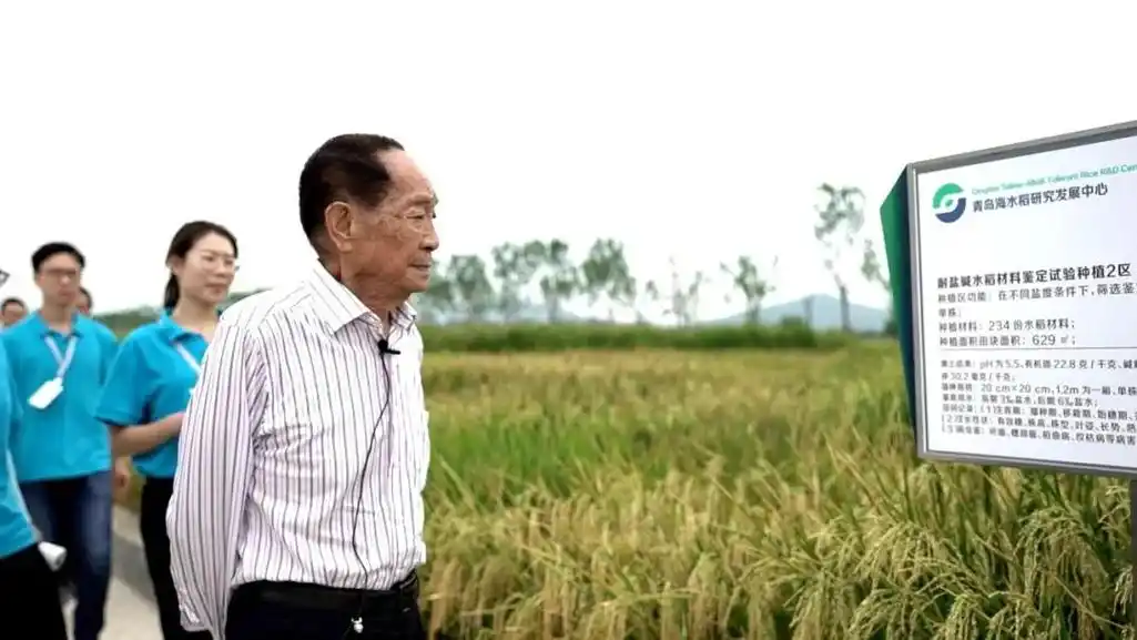 91岁袁隆平逝世每一个人都该记得他的梦