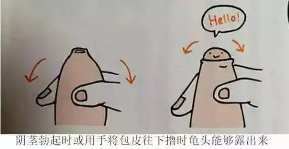 男孩子小鸡鸡那些事儿(一)