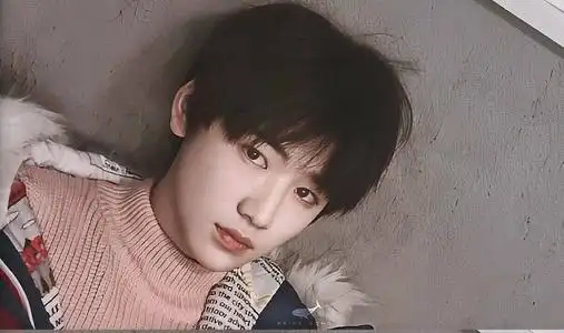 米看皮宋亚轩女朋友付诗琦是什么鬼曾自曝喜欢温柔美丽的女孩