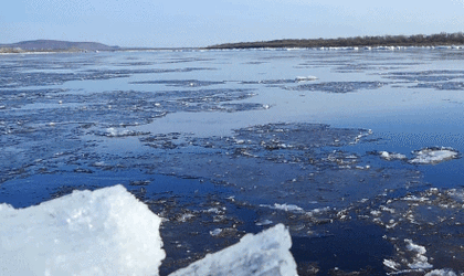 春天,这里冰雪消融殆尽,碧空如练,花香入怀,嫩嫩的草树枝丫,千里杜鹃