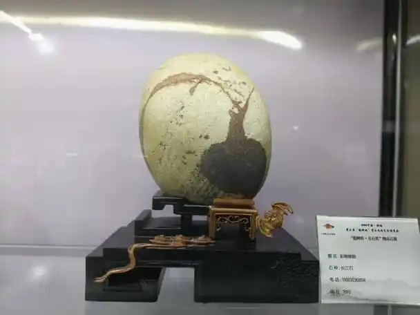 文化博览园高级顾问颁发聘书甘肃洮河石文化博览园被甘肃省旅游协会