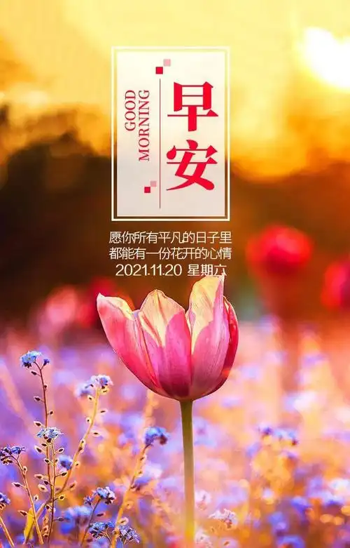 霸气(励志的句子致自己简短)1个月前0冬天唯美早上好问候祝福图片带字