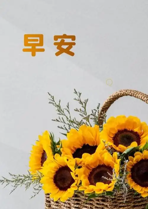 朋友圈励志早安的句子配图励志早安文案短句干净