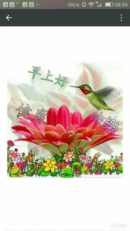 畅说苍南_苍南108生活社区