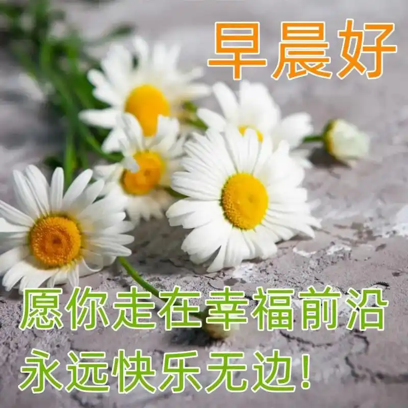 特漂亮的早上好问候图片 微信清晨问候大家的早安祝福语