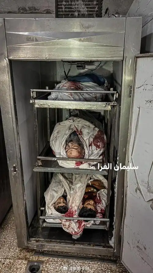 以色列25岁女学生音乐节上被哈马斯掳走