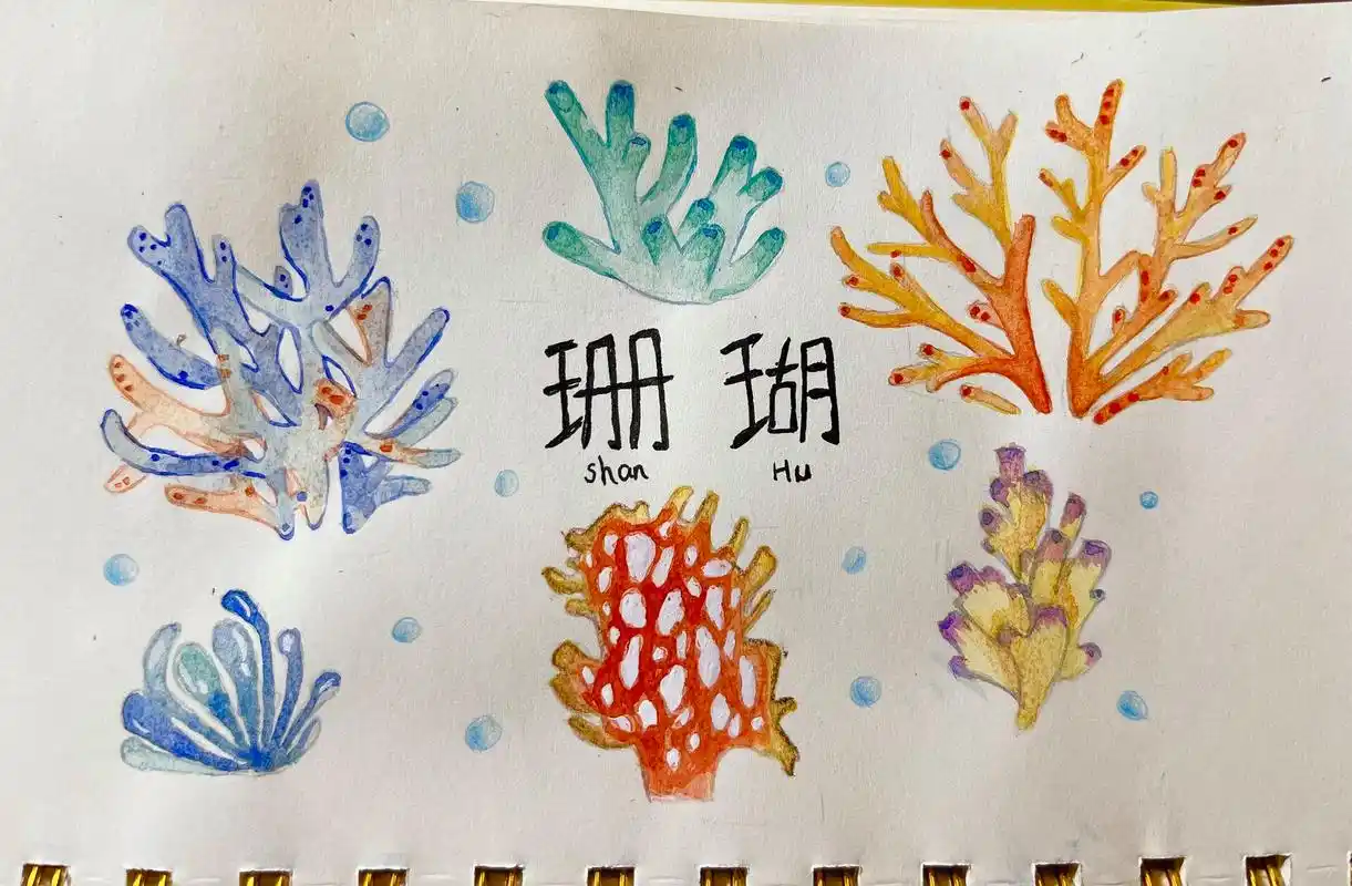 手绘植物-珊瑚