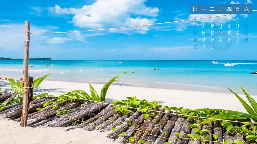 2021年8月蓝色大海日历,月历壁纸-回车桌面