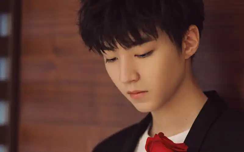 情人节清新帅气王俊凯壁纸