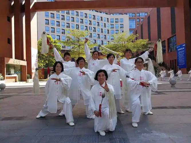 2019年11月省市太极拳赛掠影