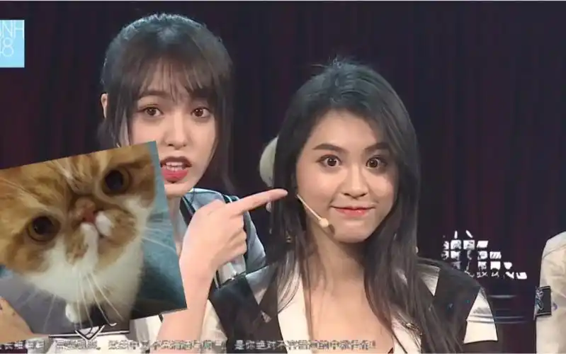 20180903 snh48 猫养久了长得像主人 钱蓓婷眼睛像胖胖 小钱上戏逗了