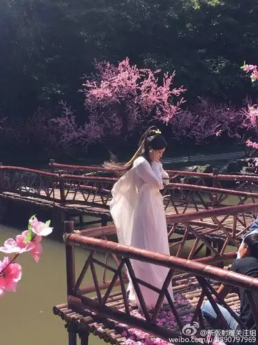 新版射雕关注组:蓉儿 [爱你] "全身白衣,长发披肩,头发上束了条金带"