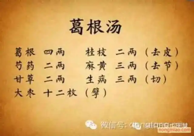 巧用葛根汤_功效作用_农苗网