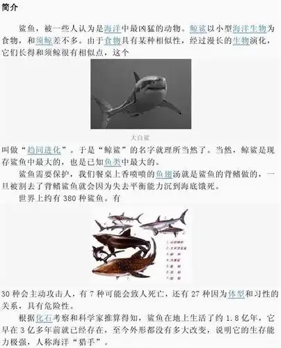 鲨鱼的简介