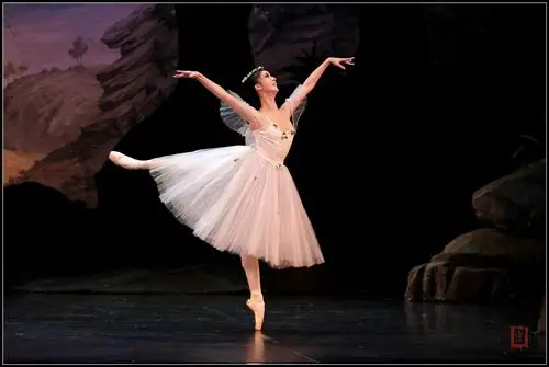 中央芭蕾舞团古典芭蕾力作《仙女》第二幕演出剧照