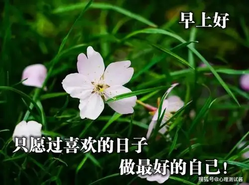2021年最新漂亮不用打字就可以聊天的早安图片7张合集鲜花带字_祝福
