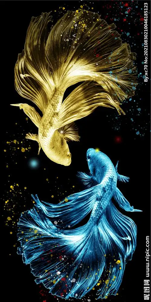 金鱼装饰画图片