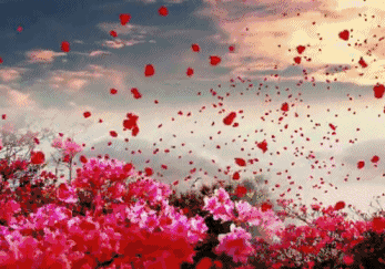 情歌还在单曲循环是你身边过客已经忘记栀子花开的夏天风吹过遥远时光