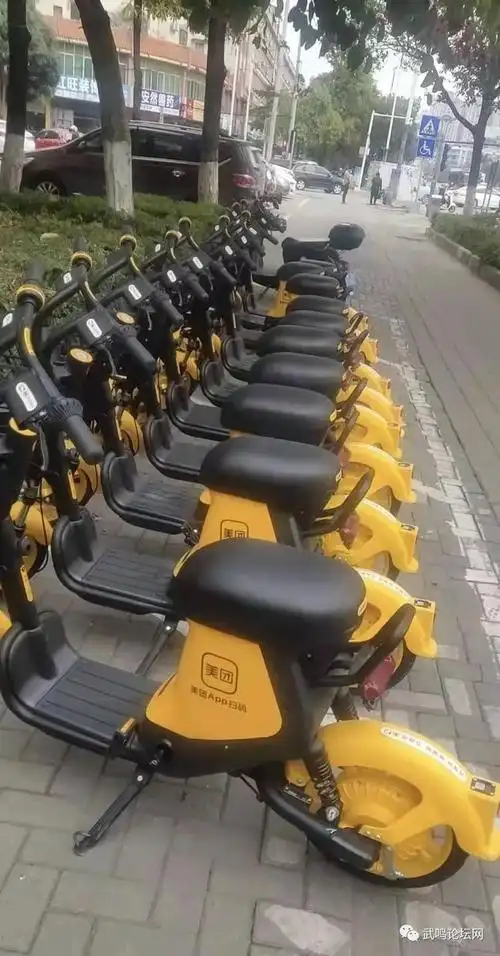 武鸣小黄车的投放让武鸣市民出行便利