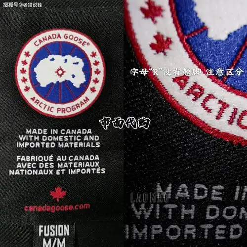 加拿大鹅真假对比深度剖析鉴定师不愿透露的细节满满都是干货