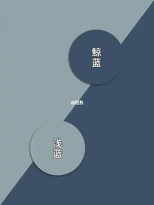 双色搭配:高级的配色方案,摆脱俗气感