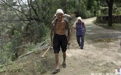 晋南农村8旬老两口黄土沟边摘花椒一个娃家摘一天啥情况