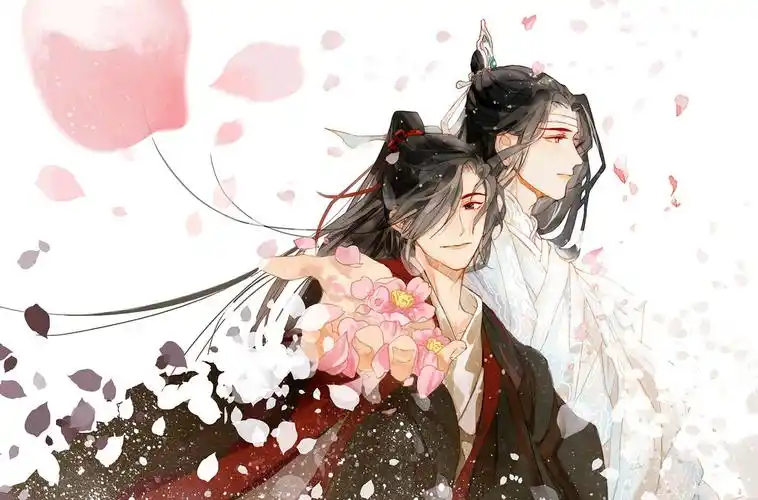 《魔道祖师》魏无羡蓝忘机卡通图片,卡通动漫,动漫
