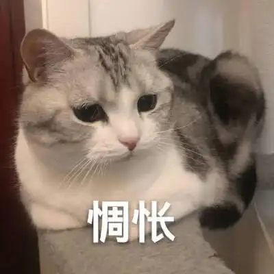 太难了,我太难了