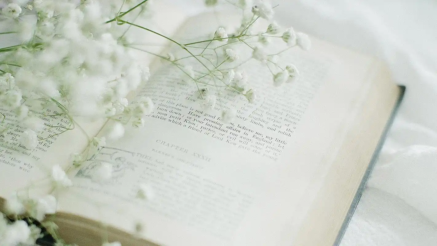 室内唯美静物高清图片桌面壁纸