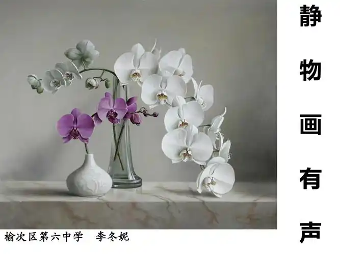 第5课静物画有声_第1页