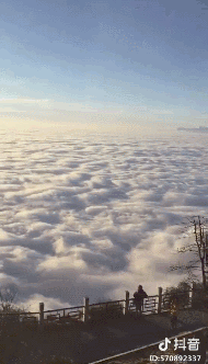 抖音点赞上百万的网红打卡地,风车,吊桥,温泉…浪起来