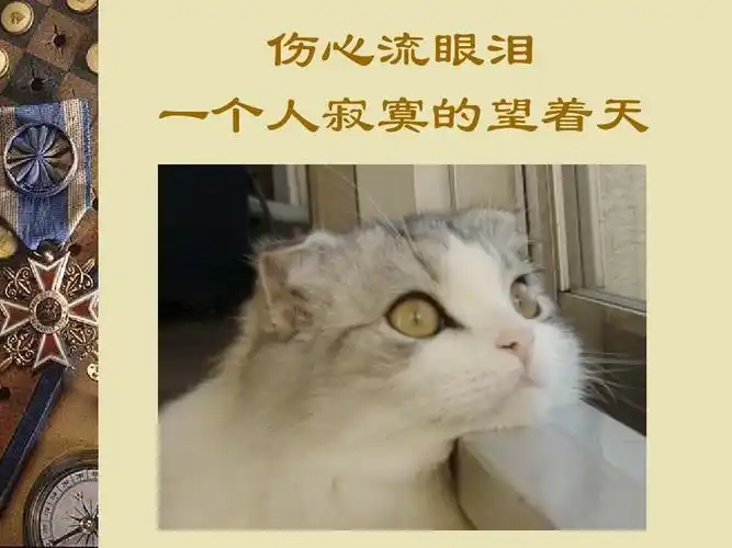 伤心流眼泪 一个人寂寞的望着天