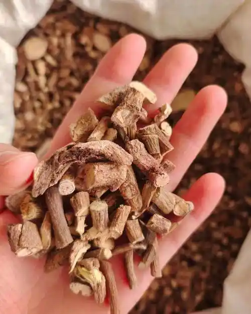 中药材鸡屎藤最近价格  功效与作用  质量可靠 最近价格与动态