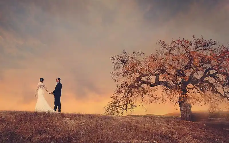 电脑壁纸 摄影 时光记忆 婚纱唯美意境背影写真