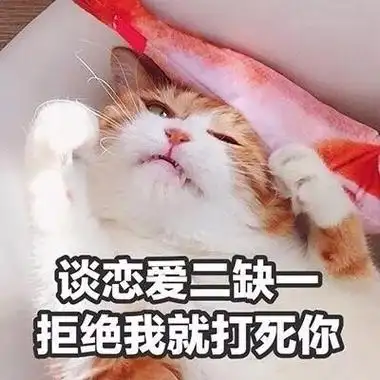 最特别搞笑的猫咪头像带文字