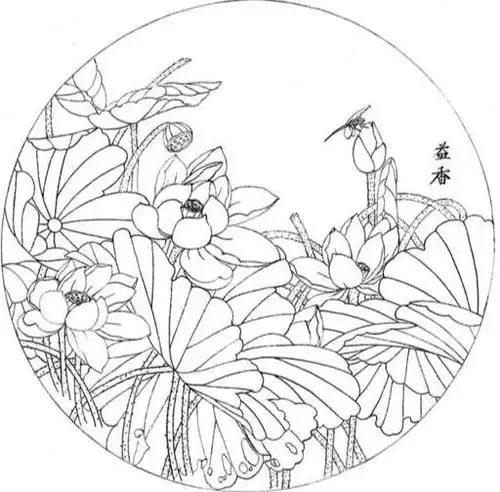 工笔白描荷花!临摹欣赏素材!