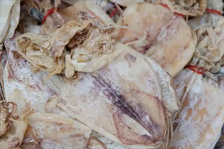 【泡发干鱿鱼】