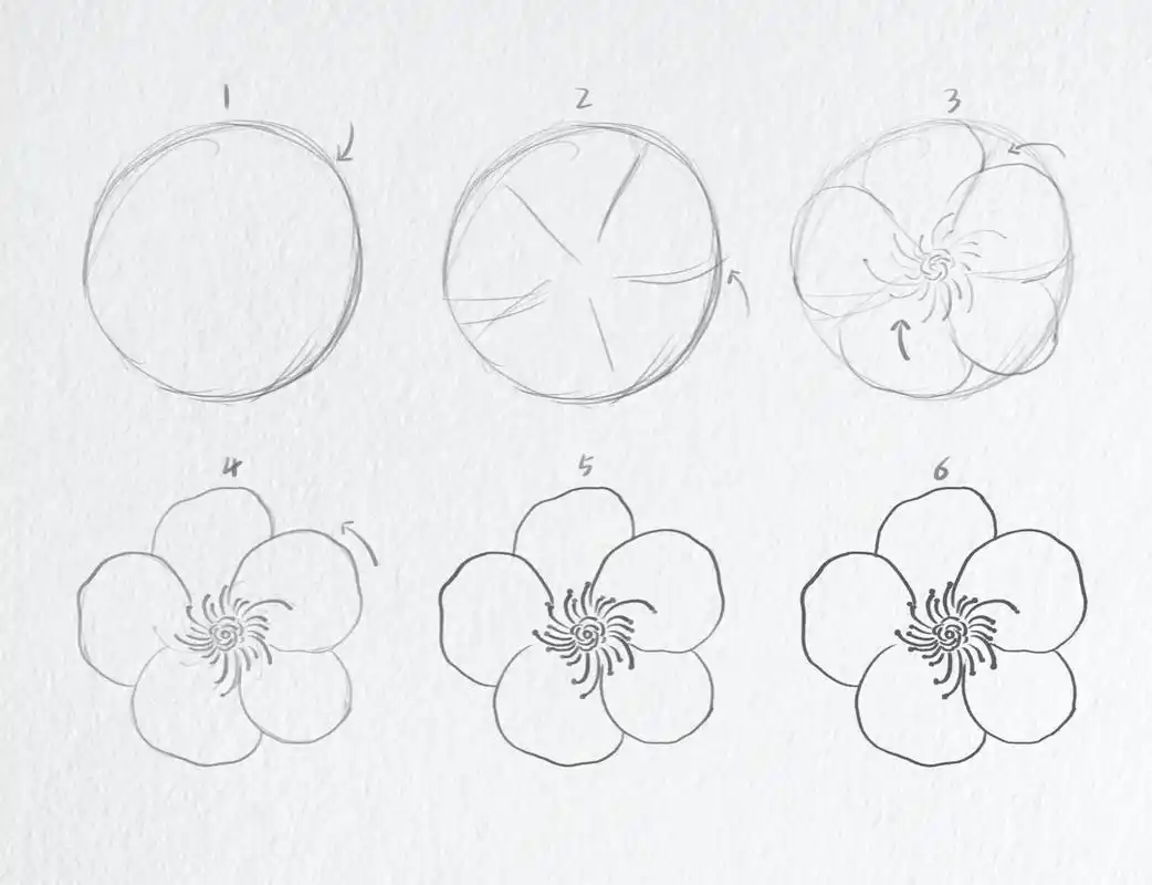 小白都不想看的吧|简笔画教程•梅花| 一树寒梅白玉条,迥临村路傍溪