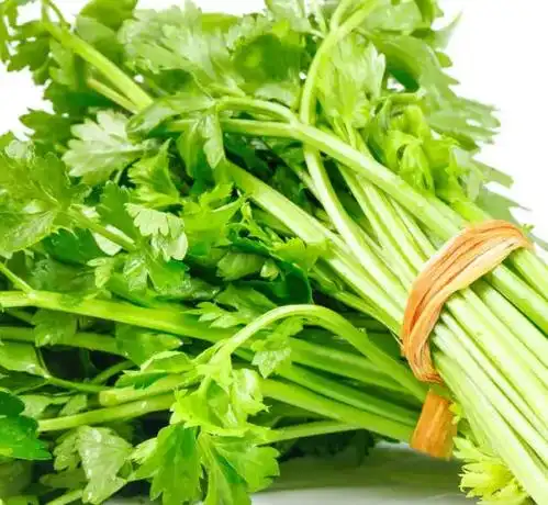 中医学角度和大家聊聊芹菜的功效