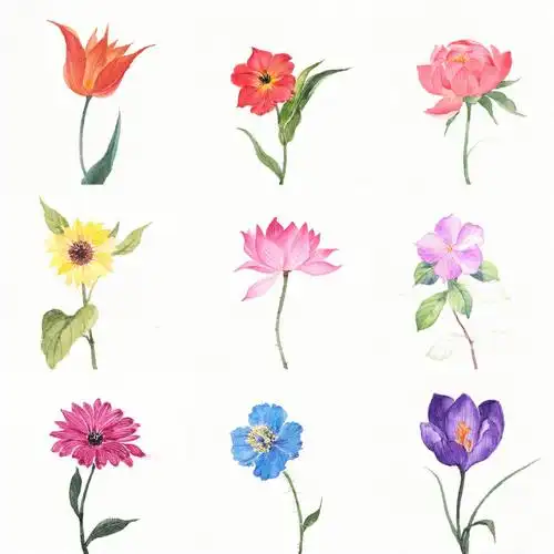 有人喜欢简单的小花花吗超简单水彩小花