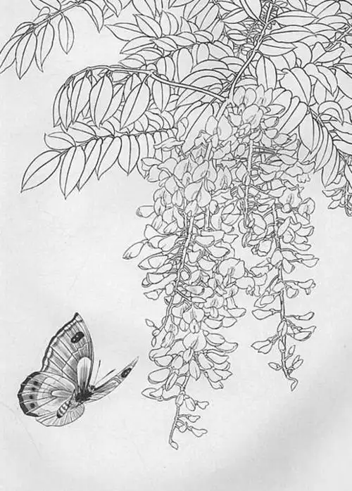 现代工笔花鸟画白描图片