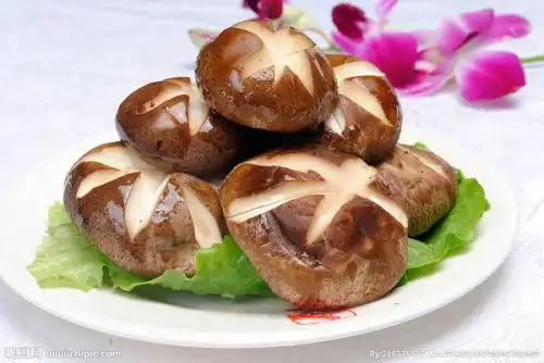 鲜香菇在火锅店咋样摆盘