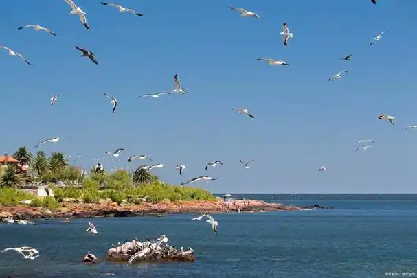 长岛,又称庙岛群岛,是山东烟台蓬莱市下辖的一个县级市,位于胶东半岛
